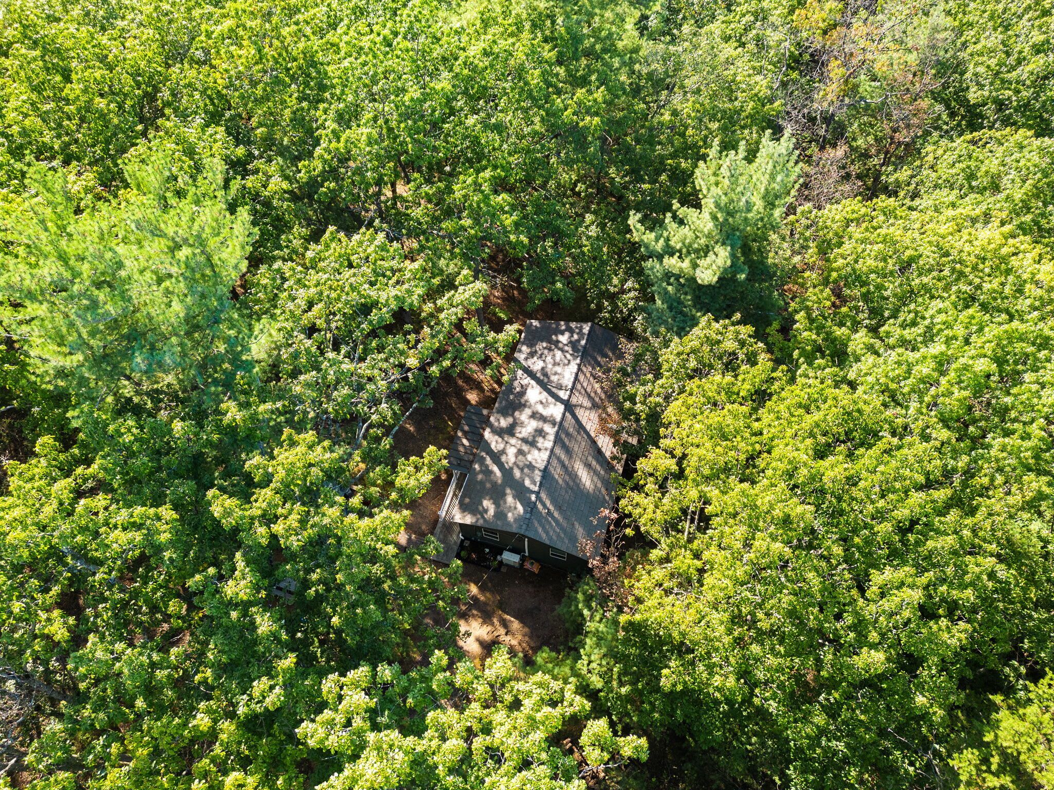 An aerial view of a building surrounded by dense green foliage.