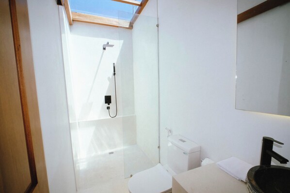 Shower, hair dryer, toilet paper