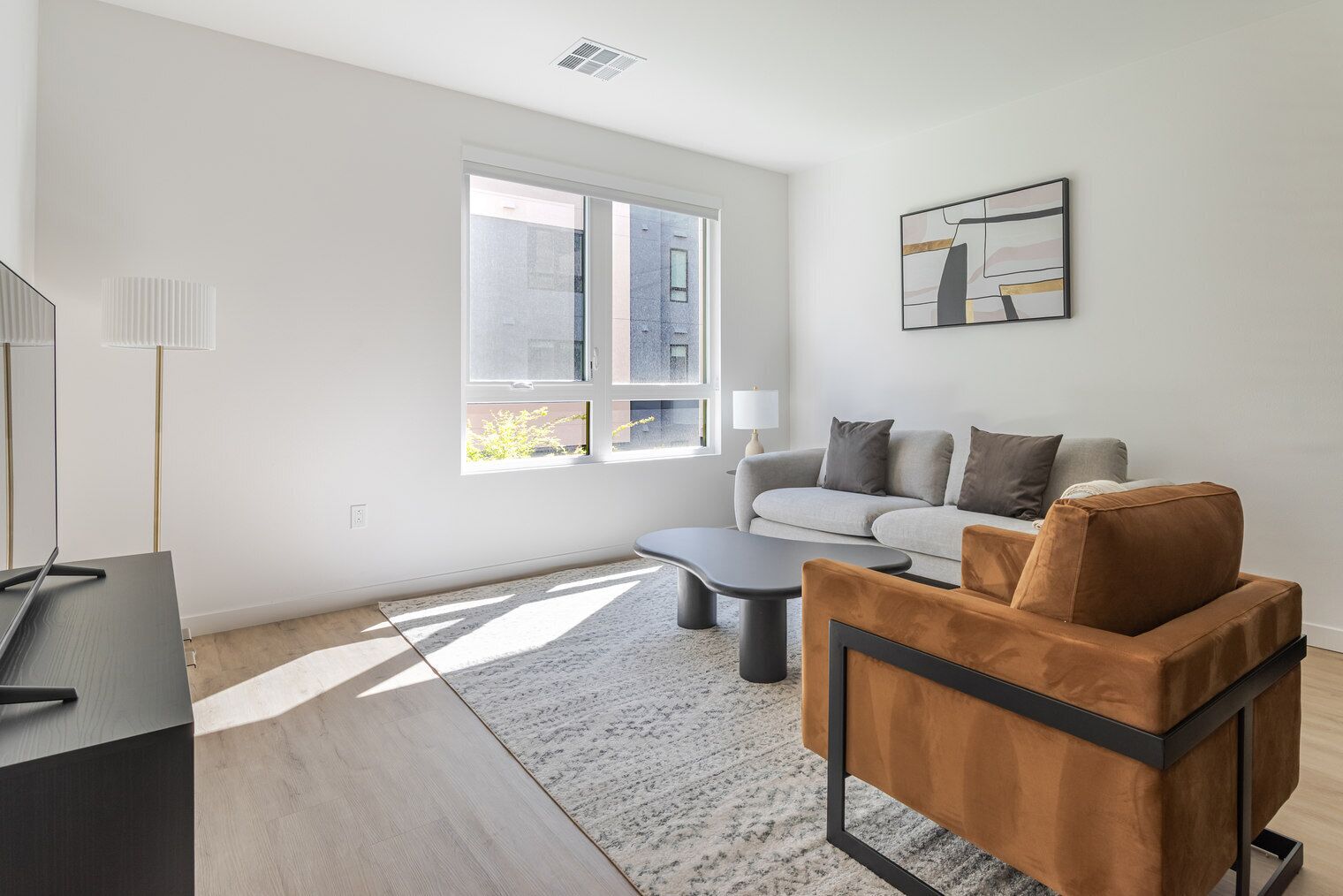 Televisión y estéreo 