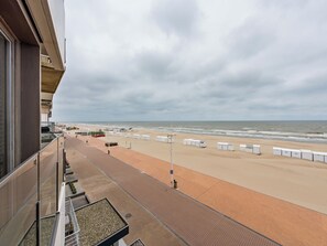 بالقرب من الشاطئ