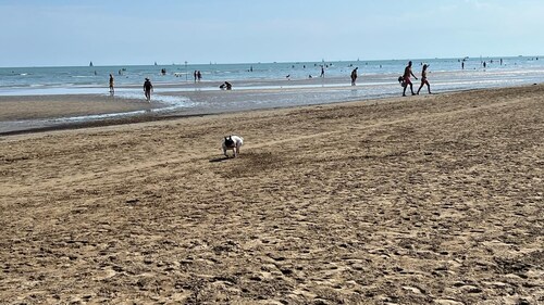 Perfect for families, golfers, dog lovers, only 12 min from the beach of Lignano