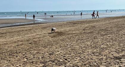 Perfect for families, golfers, dog lovers, only 12 min from the beach of Lignano