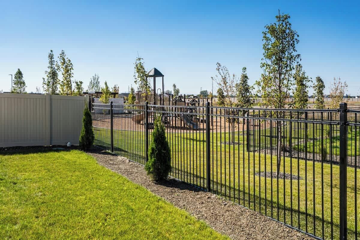 A fenced outdoor area with a grassy lawn, a small tree, and a metal fence.