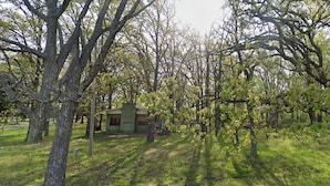 A small, rustic cabin surrounded by lush greenery and trees. - Peaceful cabin near Grand Lake and Disney on big lot (Pensacola)