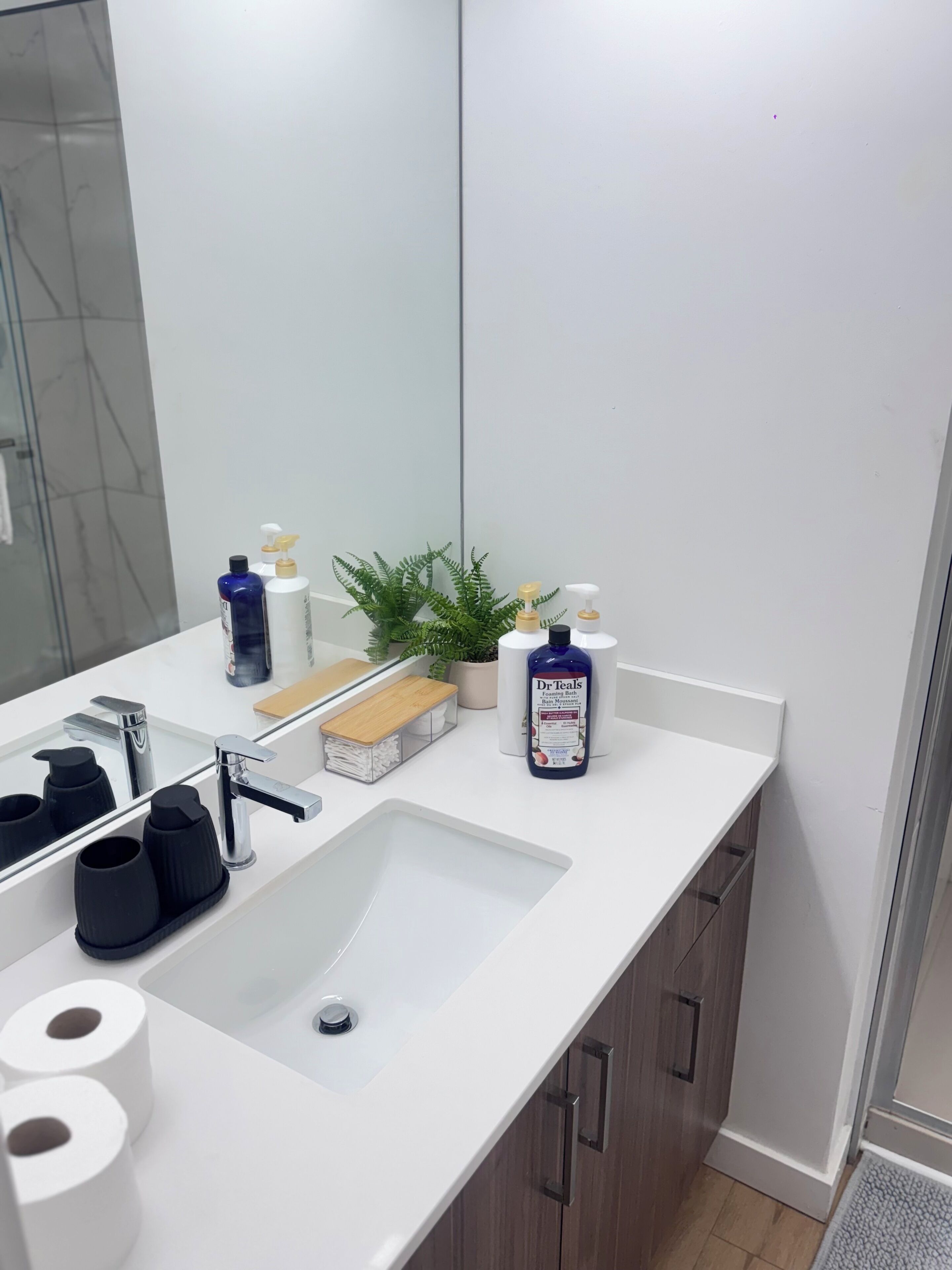 Hair dryer, towels, soap, toilet paper