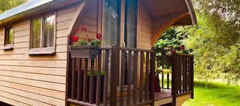 Millygite - Forêt Fontainebleau