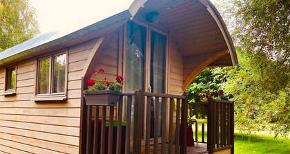 Millygite - Forêt Fontainebleau