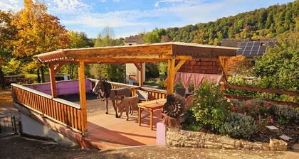 Apartment Hollerstein