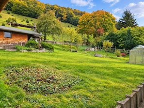 A rural landscape with a house, a greenhouse, and a variety of trees and shrubs.