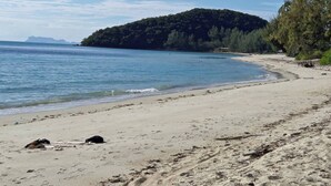 Beach - Samui Tiny House villa Glamping Seaview sleeps 8 (Surat Thani)