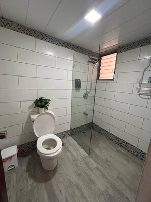 Regadera 