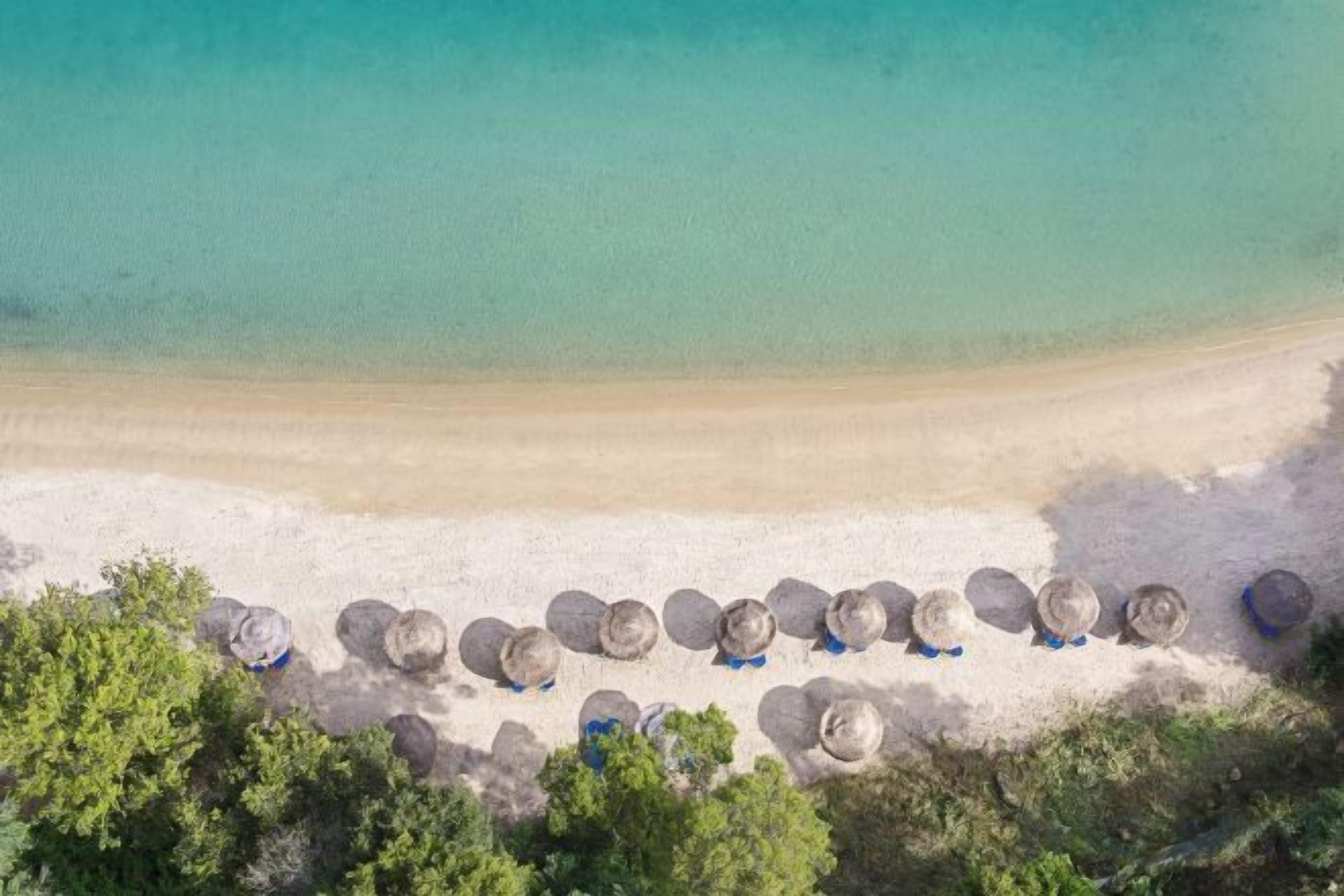 Una playa con una hilera de sombrillas y sillas de descanso.