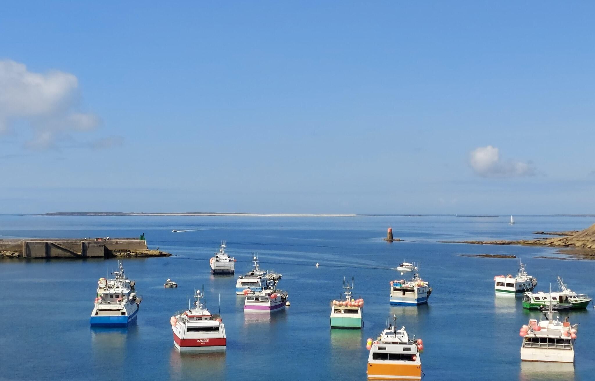 A marina with various boats docked, a clear sky, and a distant shoreline.