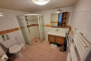 Shower, hair dryer