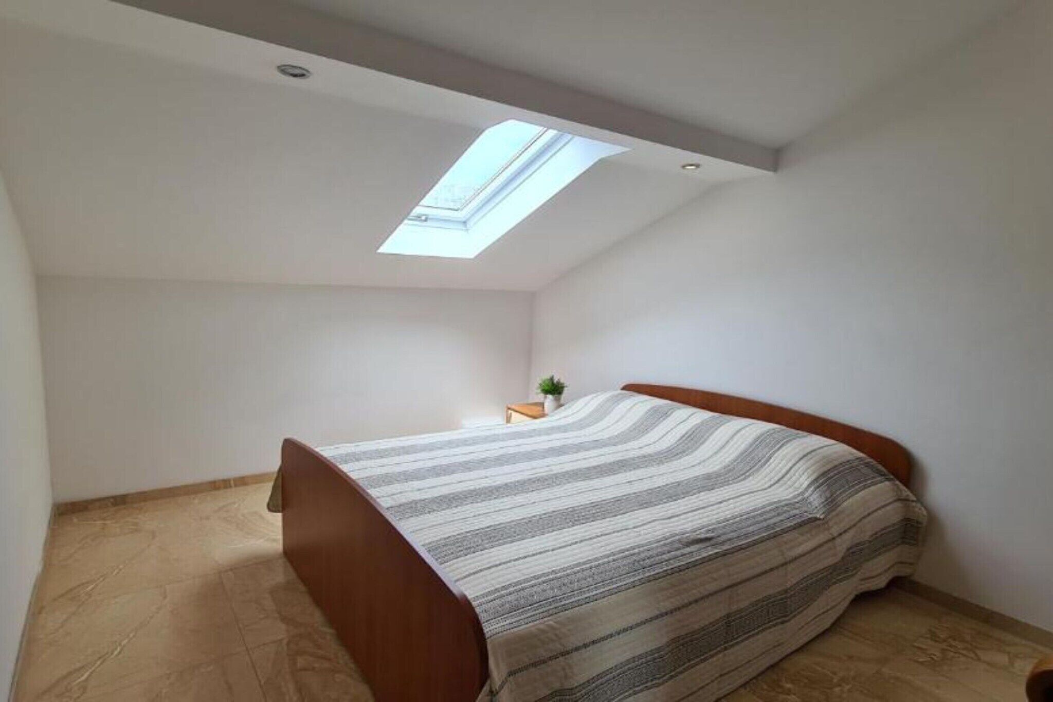 Ein kleines Zimmer mit einem Einzelbett, einem Oberlicht, einem Nachttisch und einer kleinen Pflanze.