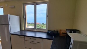 A compact kitchen with a window offering a view of the sea and greenery. - Apartment with Two Bathrooms (Orebic)