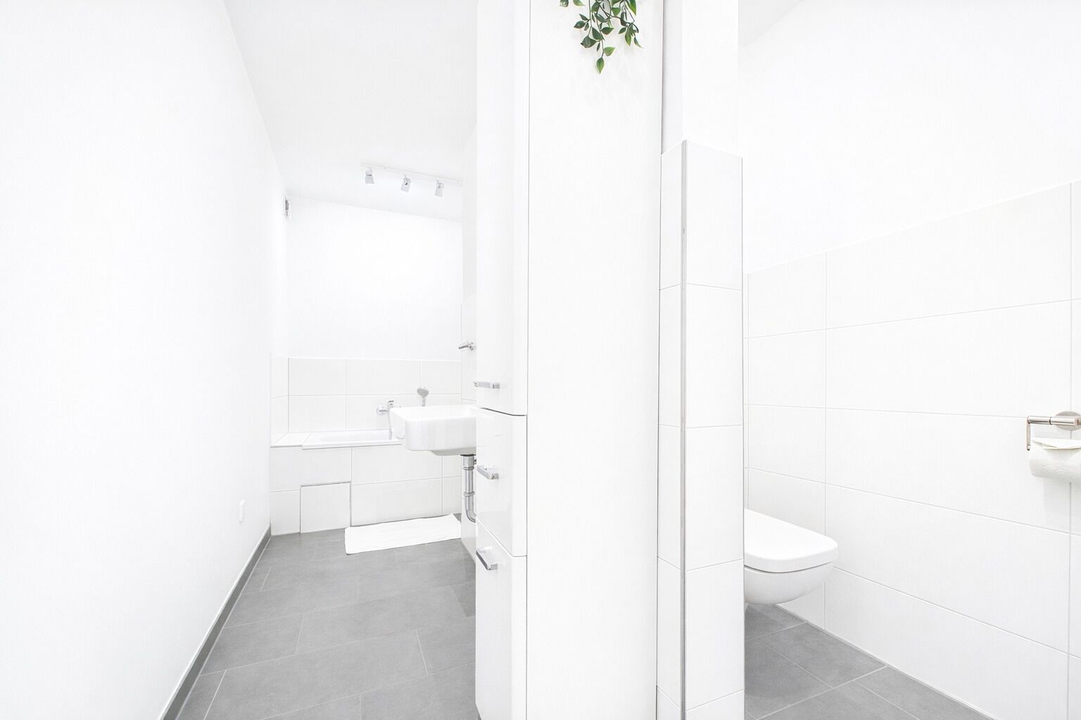 Secadora de cabello y toallas 