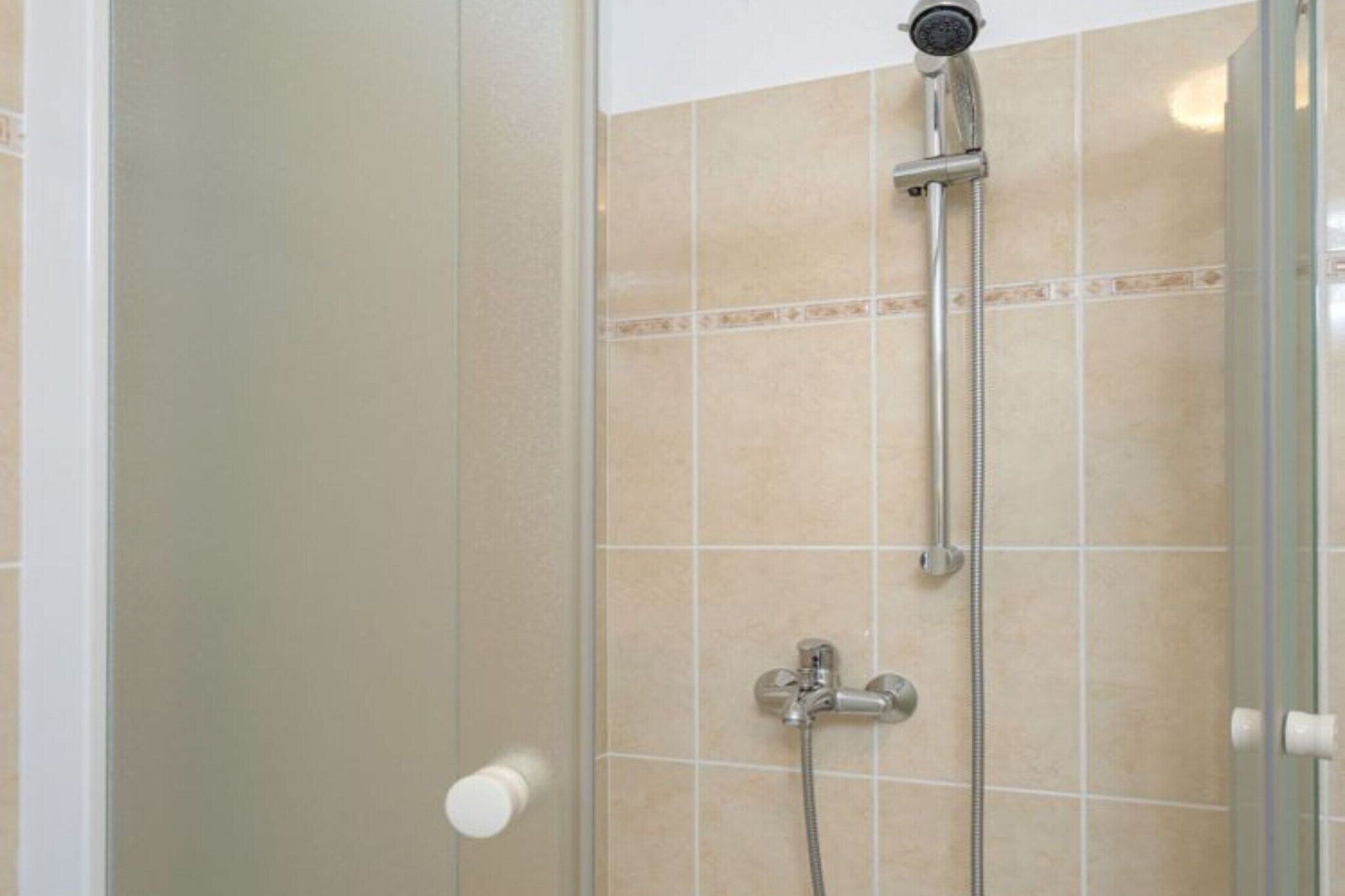 Een douche met een handdouche en een wandmengkraan, betegelde wanden en een glazen deur.