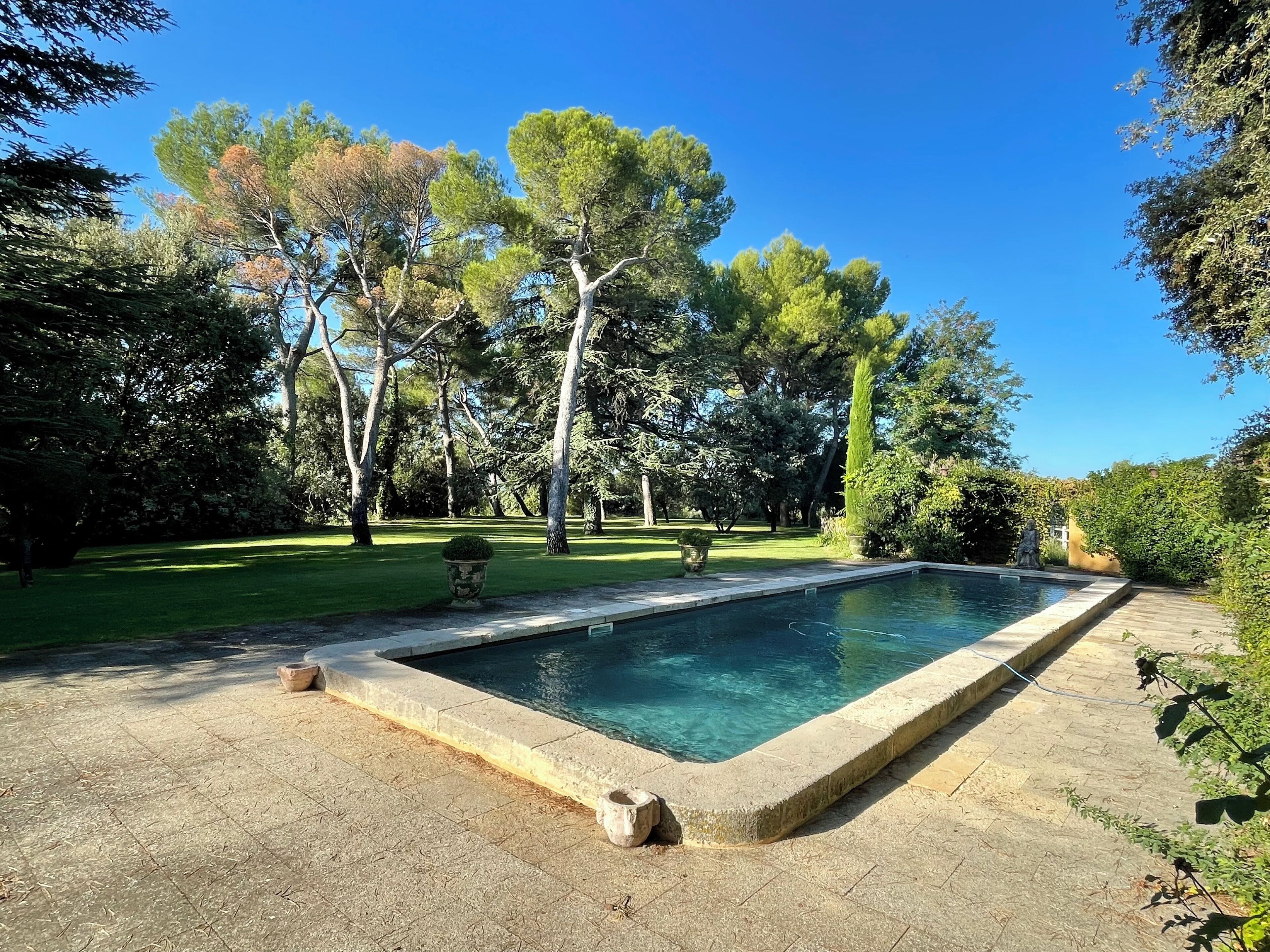 A rectangular swimming pool with a stone border, surrounded by a well-maintained lawn and trees.