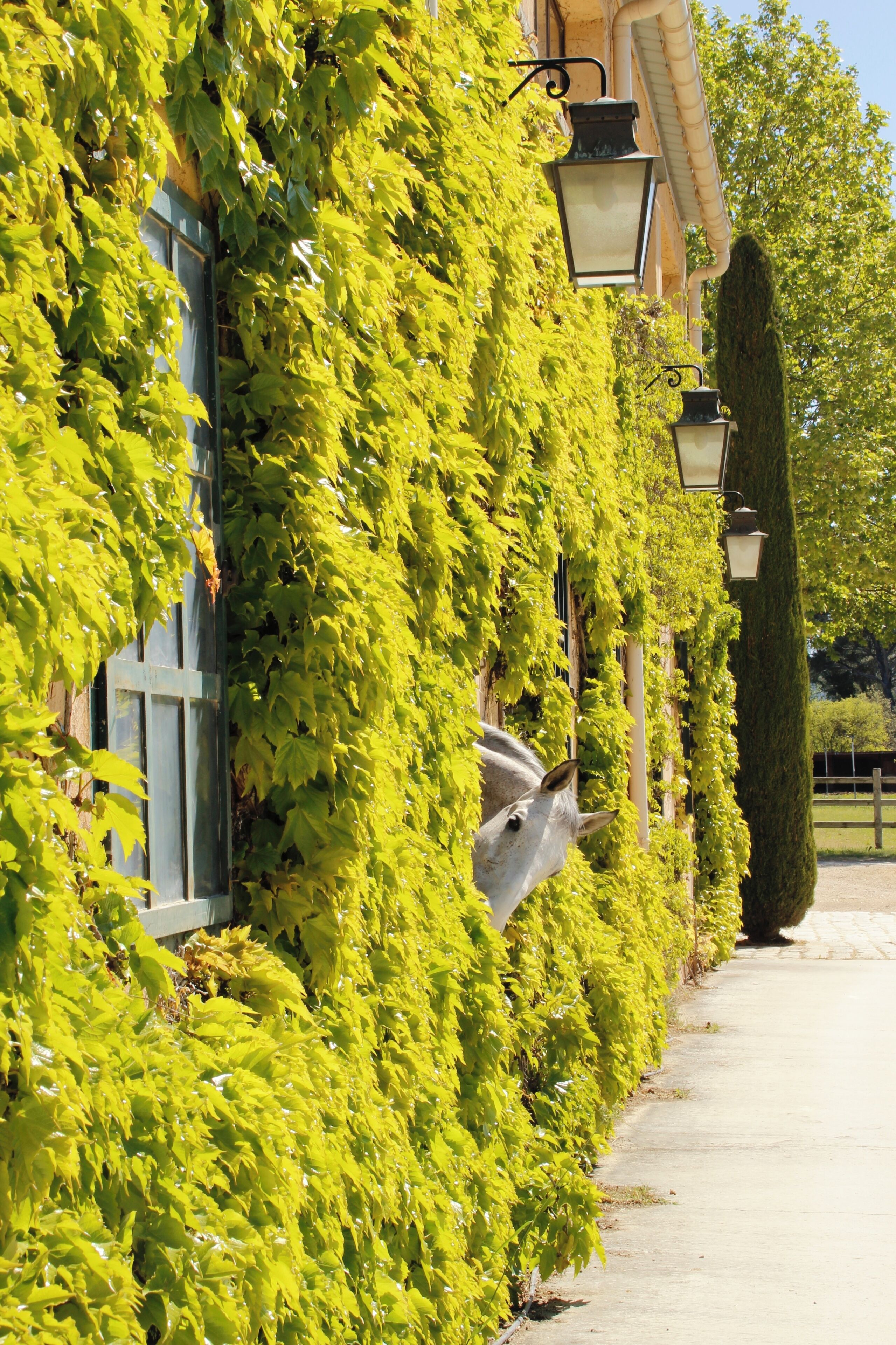 Détail de l’extérieur