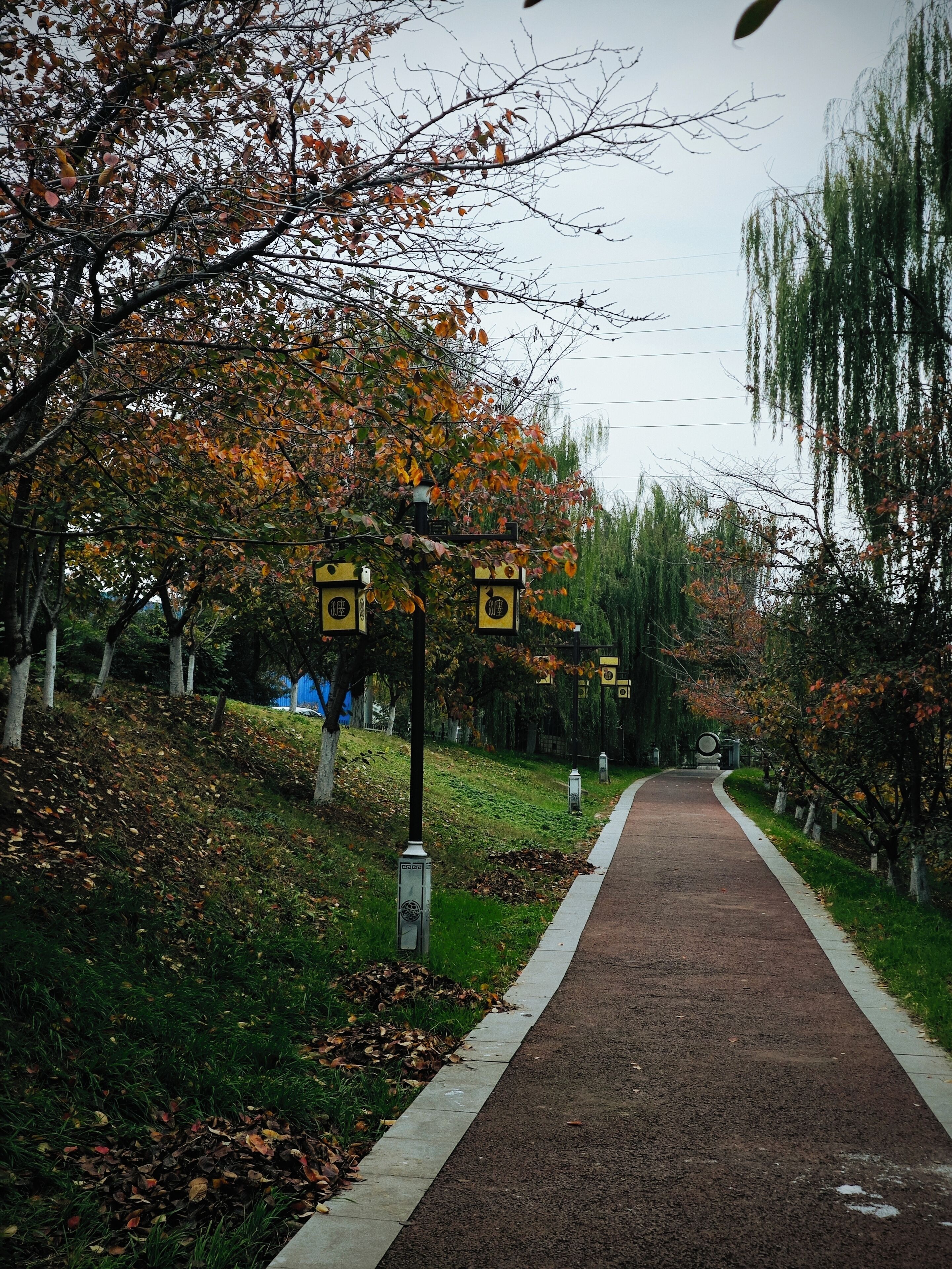 Un sendero bordeado de árboles con follaje otoñal, un camino pavimentado y señalización direccional.