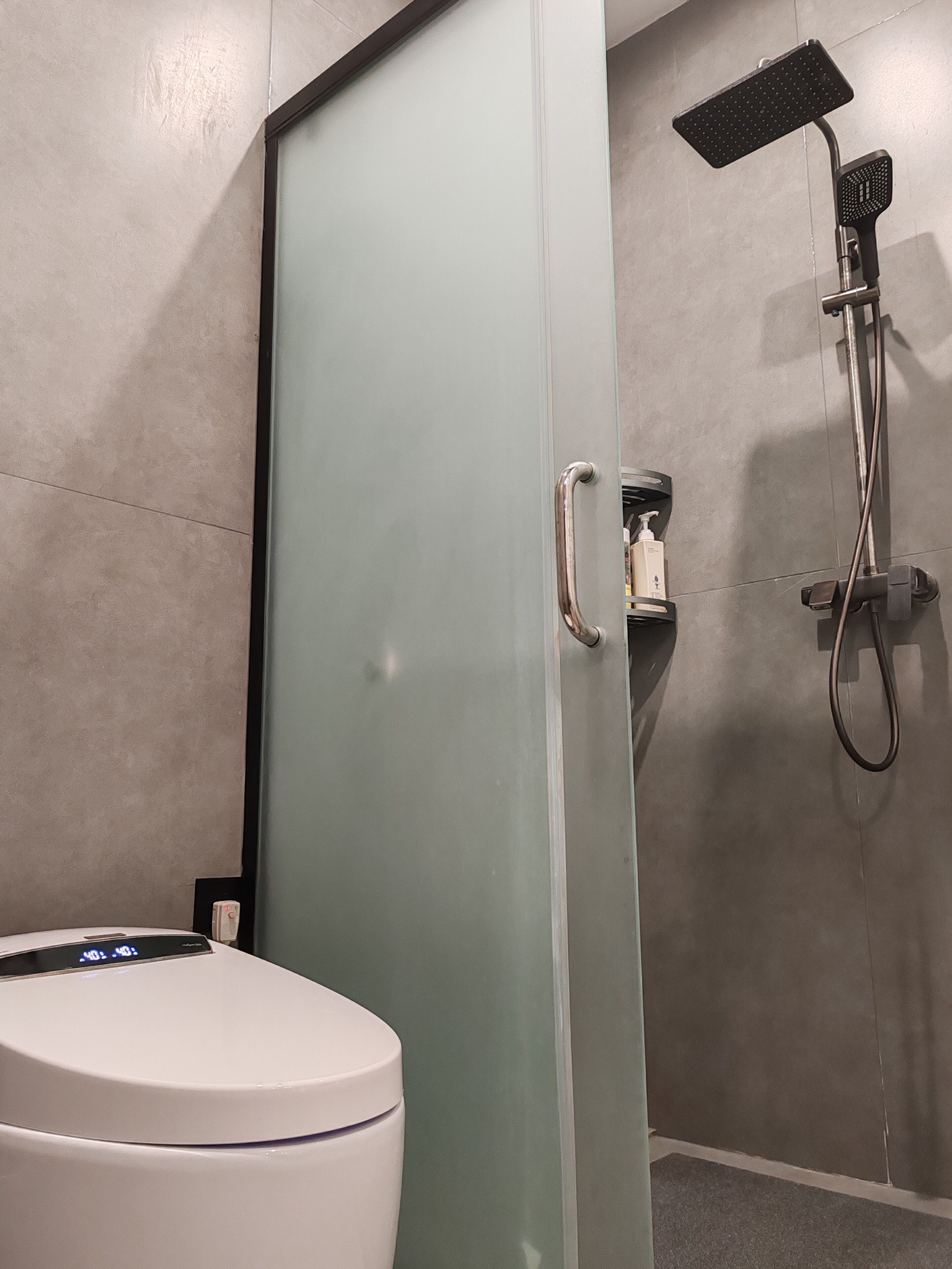 A bathroom with a toilet, a glass shower enclosure, and a handheld showerhead.