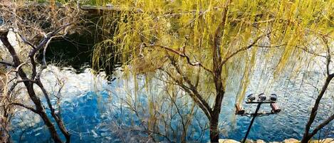 A serene riverside view with willow trees and a stone bench.