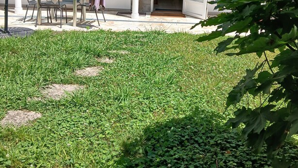 A patio area with a glass table and chairs, a purple umbrella, and a white building with blue shutters and a white balcony. - T3 apartment (two bedrooms) on garden level, garden 120 m2 town center, (Saint-Jean-de-Luz)