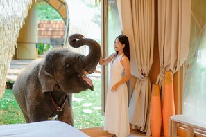 Villa – deluxe, balkong | Skrivebord og wi-fi (inkludert)