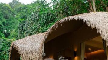 Vista frontal de la propiedad