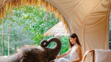 Villa Deluxe, balcón | Escritorio y wifi gratis