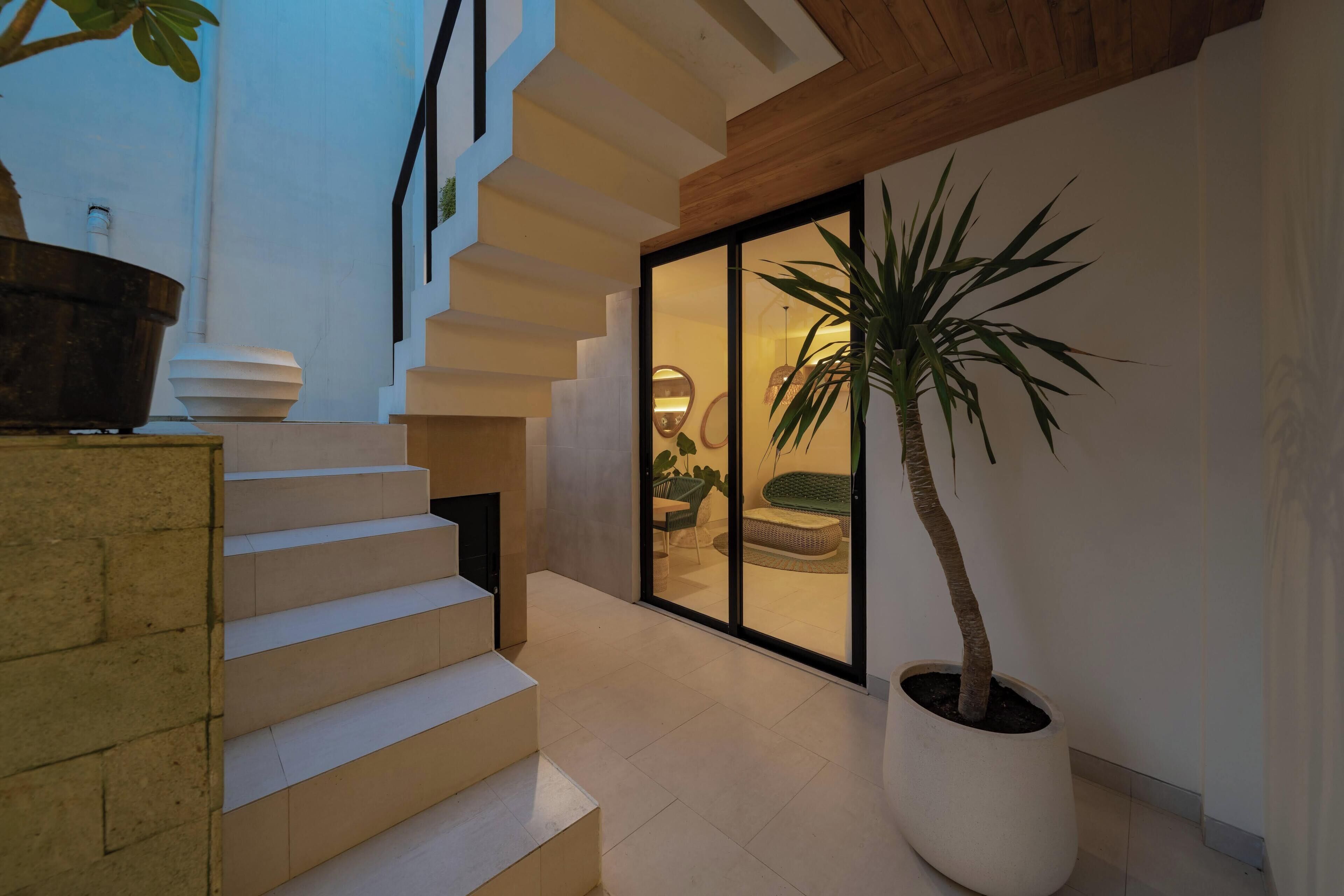 A modern interior with a staircase, a large potted plant, and a glass door leading to a seating area.