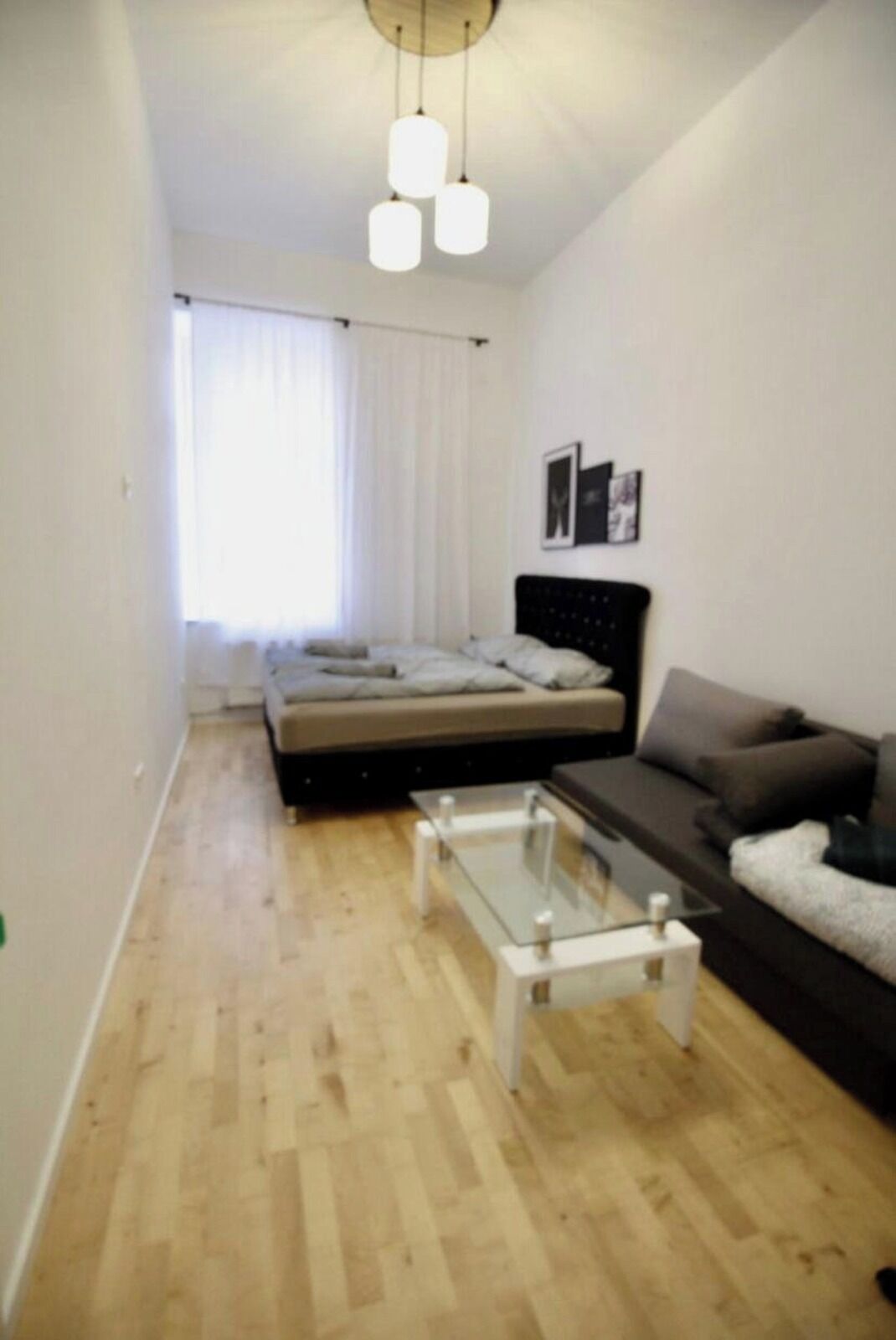 Basic-Apartment | Ausblick vom Zimmer