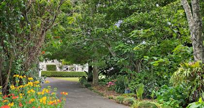 Farm House Close to Town