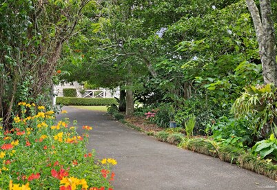 Farm House Close to Town