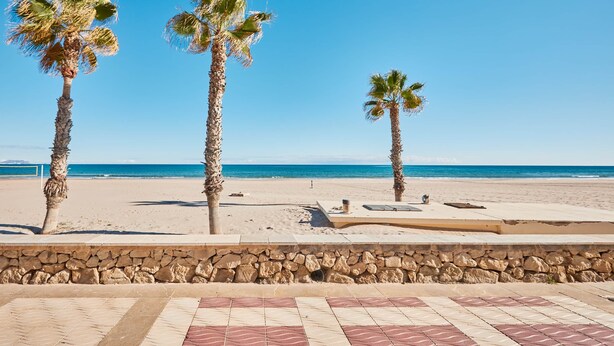 Une plage bordée de palmiers, avec un mur de pierres au premier plan.