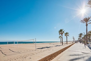 A beach with a volleyball net, palm trees, and a paved walkway.