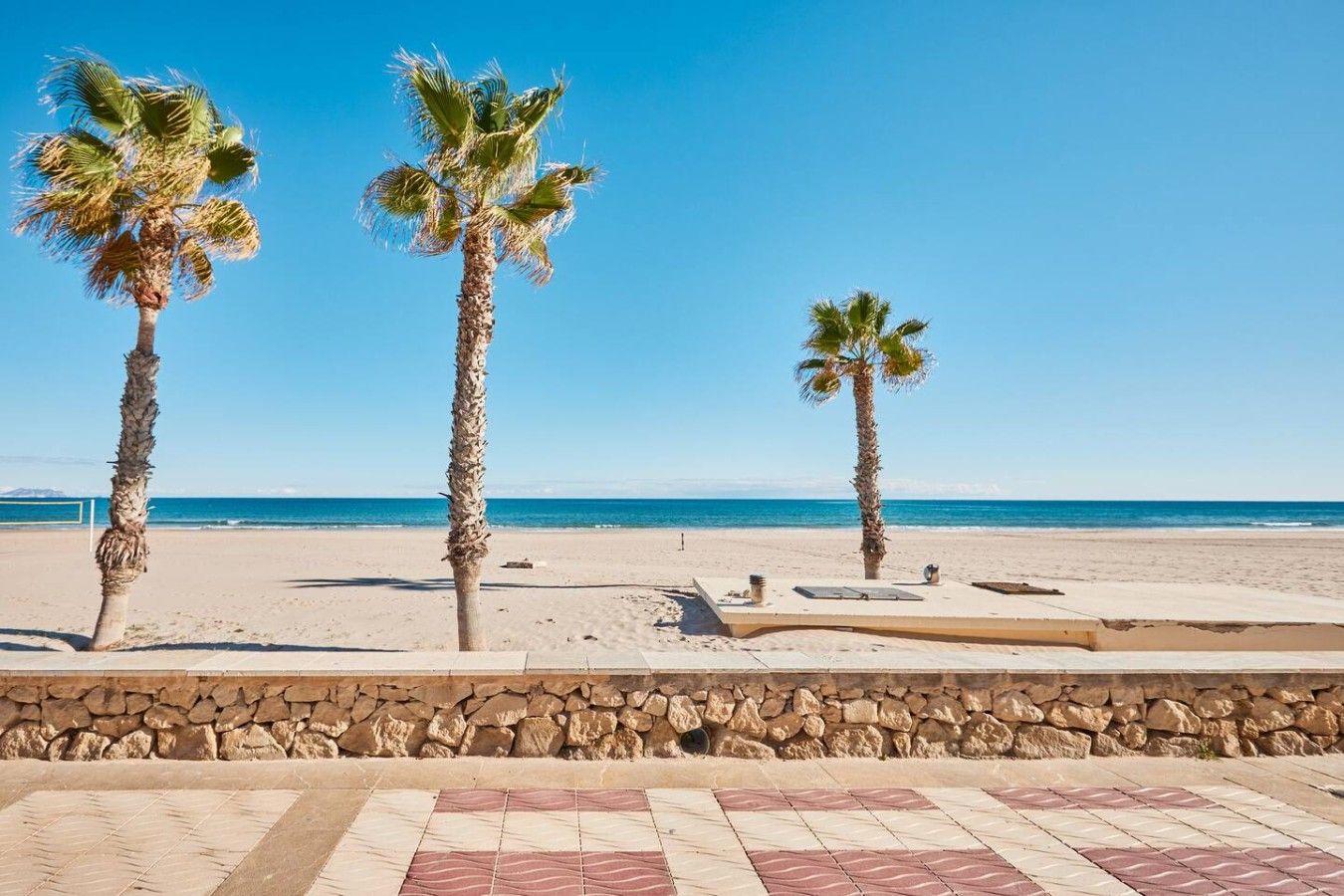A beach with palm trees and a stone wall.