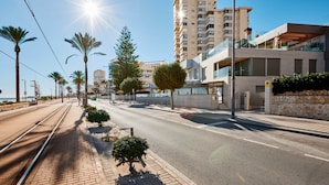 Une rue urbaine moderne, avec une ligne de tramway, des palmiers et des bâtiments contemporains.