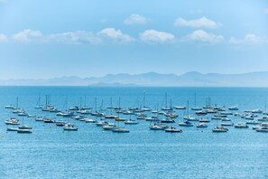 A marina with numerous boats docked.