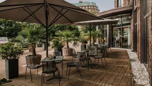 An outdoor patio with tables and chairs, umbrellas, and potted plants.