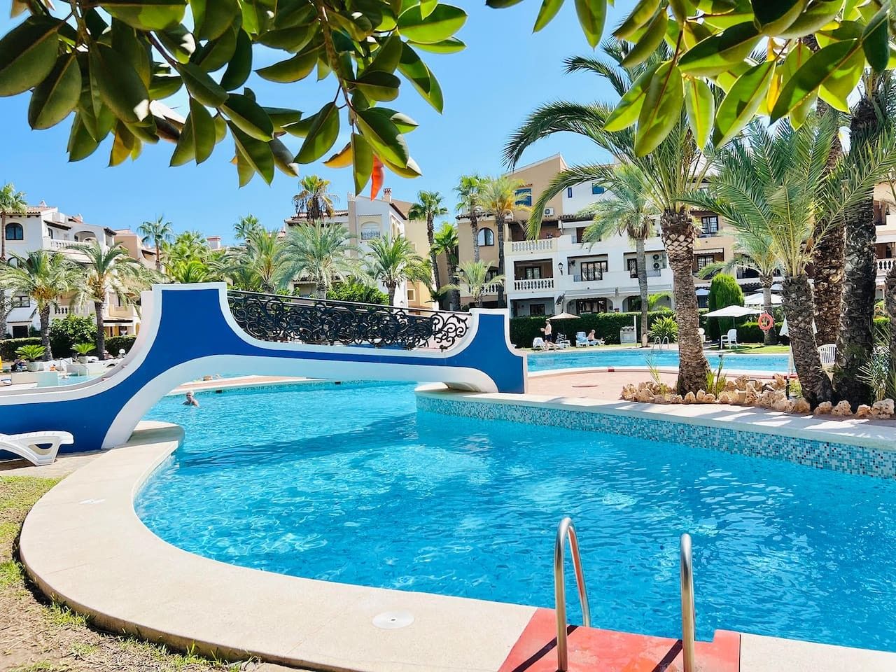A swimming pool with a curved design, surrounded by palm trees and a clear blue sky.