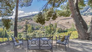 Áreas de la propiedad