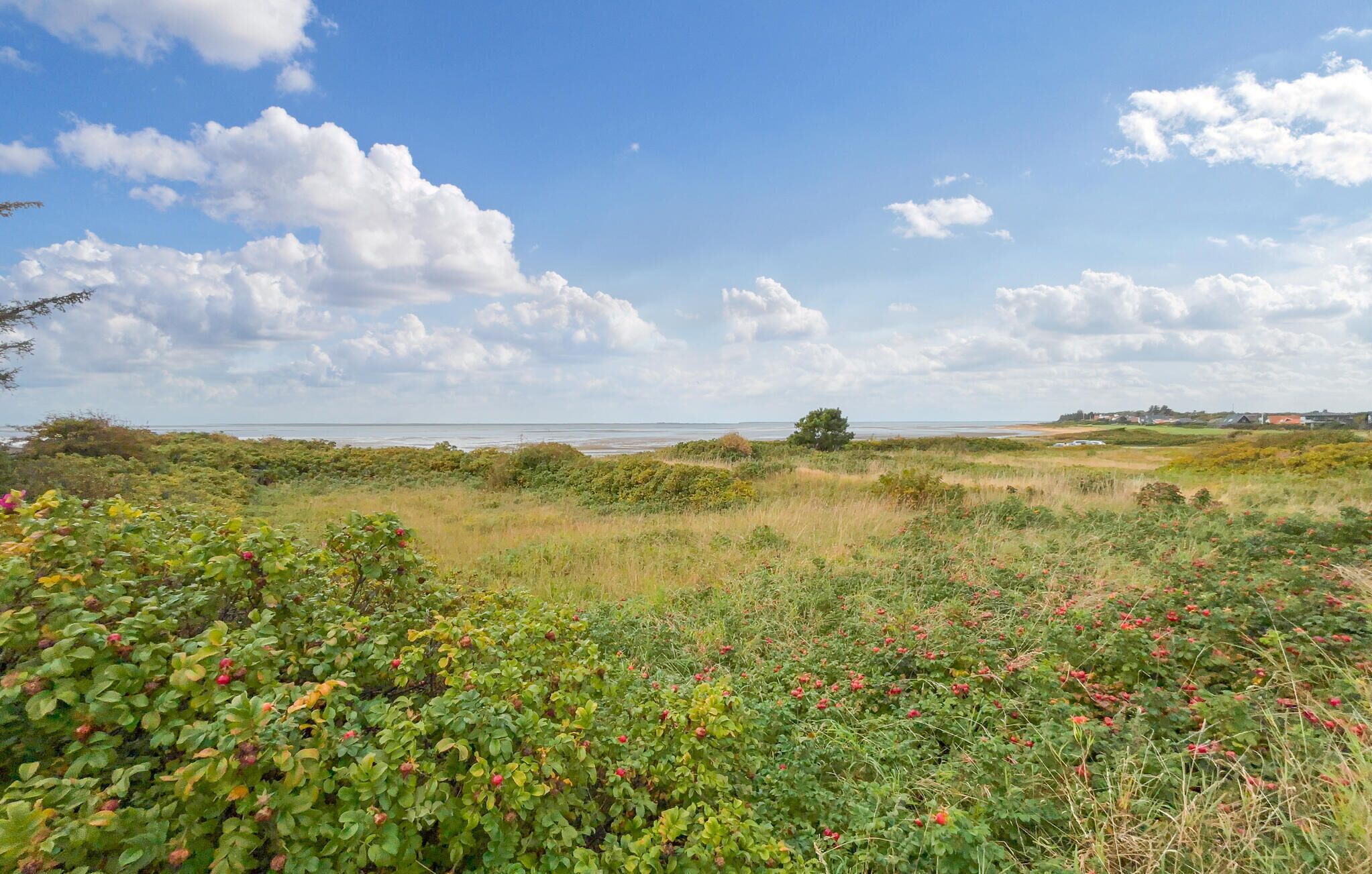 Un paysage côtier avec un ciel dégagé, une vue lointaine sur la mer et une végétation variée au premier plan.