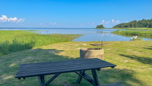 A picnic table with a fire pit in a grassy area near a lake.