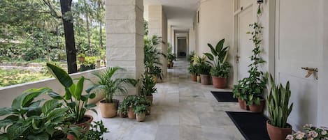 A covered corridor with potted plants, marble flooring, and doors on one side.