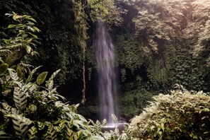 Miscellaneous - Villa Kayu Amertha (Bali)