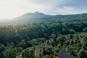 Unclassified image, 3 of 7, button - Villa Kayu Amertha (Bali)
