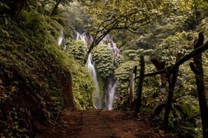 Miscellaneous - Villa Kayu Amertha (Bali)