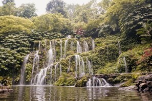 Miscellaneous - Villa Kayu Amertha (Bali)